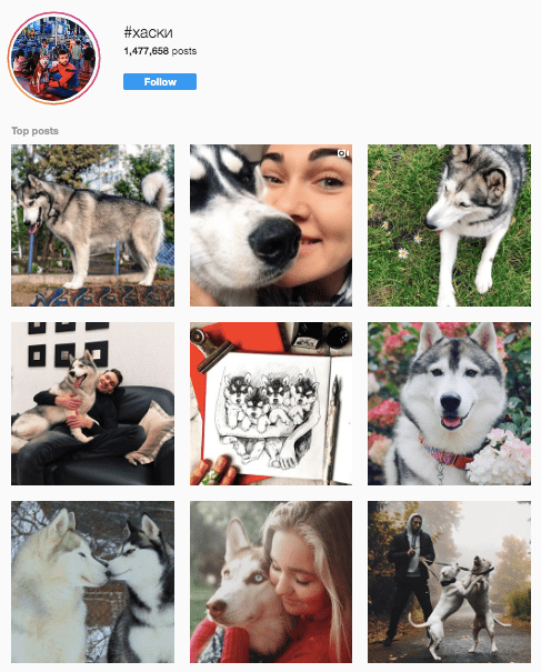 ТОП по хештегам