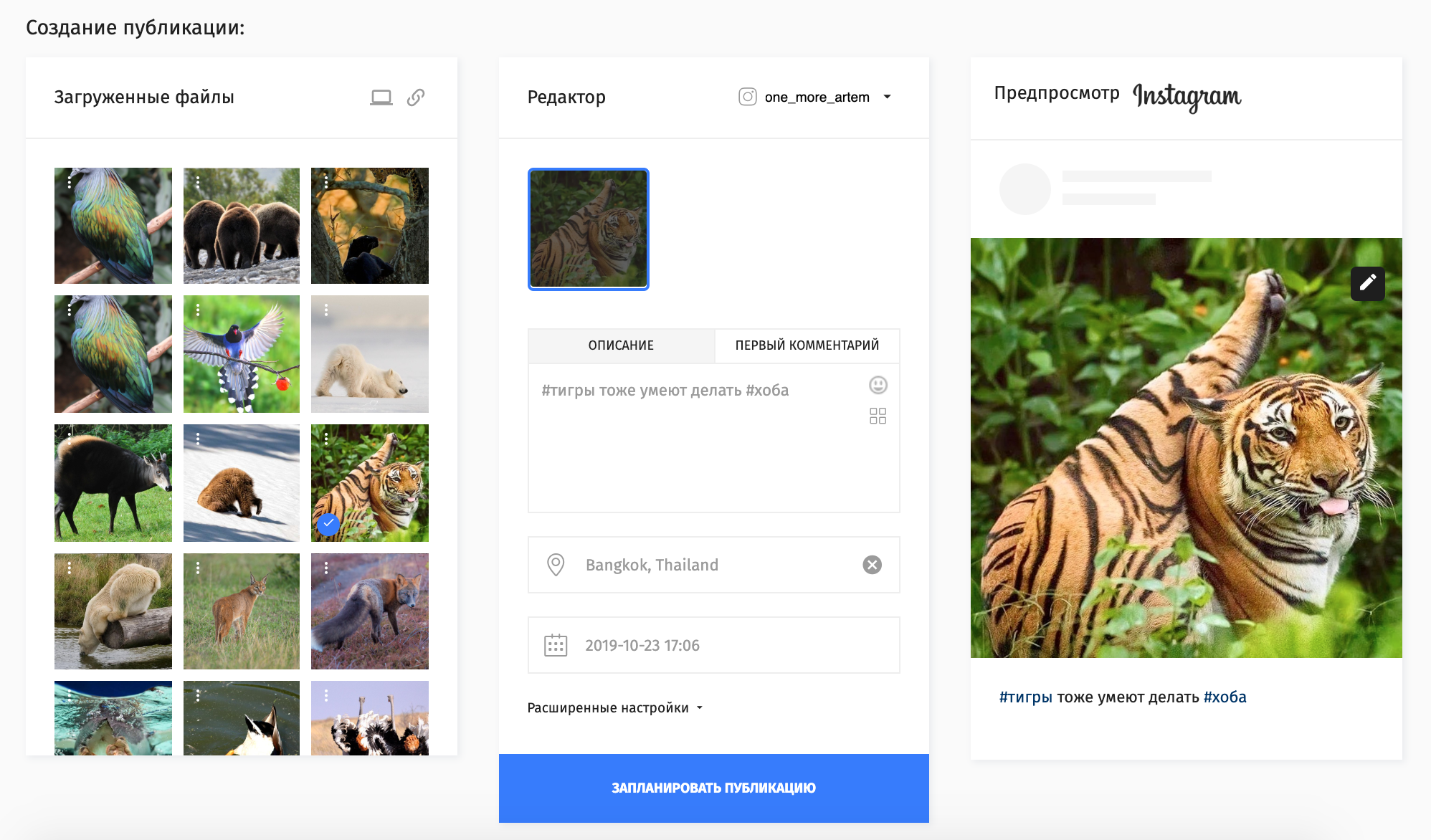 Создать пост в plansy